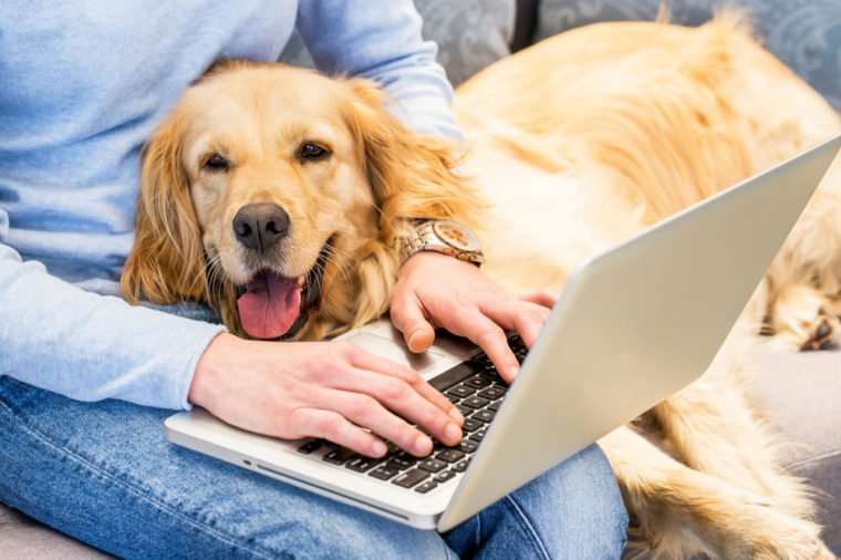 8 activități de team building pe care să le încerci în ședințele online!